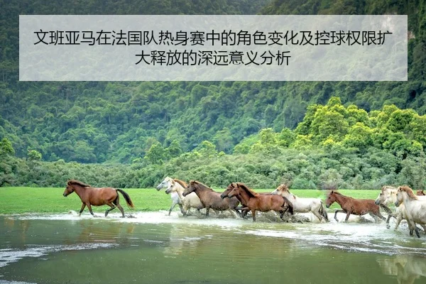 文班亚马在法国队热身赛中的角色变化及控球权限扩大释放的深远意义分析
