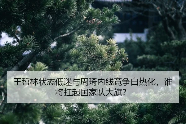 wang-zhe-lin-zhuang-tai-di-mi-yu-zhou-qi-nei-xian-jing-zheng-bai-re-hua-shui-jiang-kang-qi-guo-jia-dui-da-qi-2-507.jpg