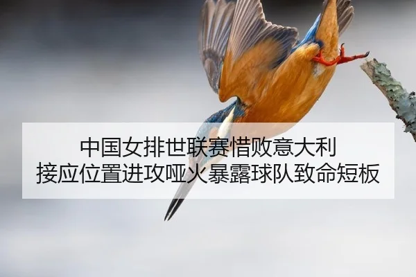 zhong-guo-nv-pai-shi-lian-sai-xi-bai-yi-da-li-jie-ying-wei-zhi-jin-gong-ya-huo-bao-lu-qiu-dui-zhi-ming-duan-ban-3-881.jpg