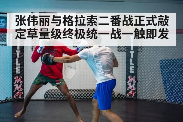 UFC fight